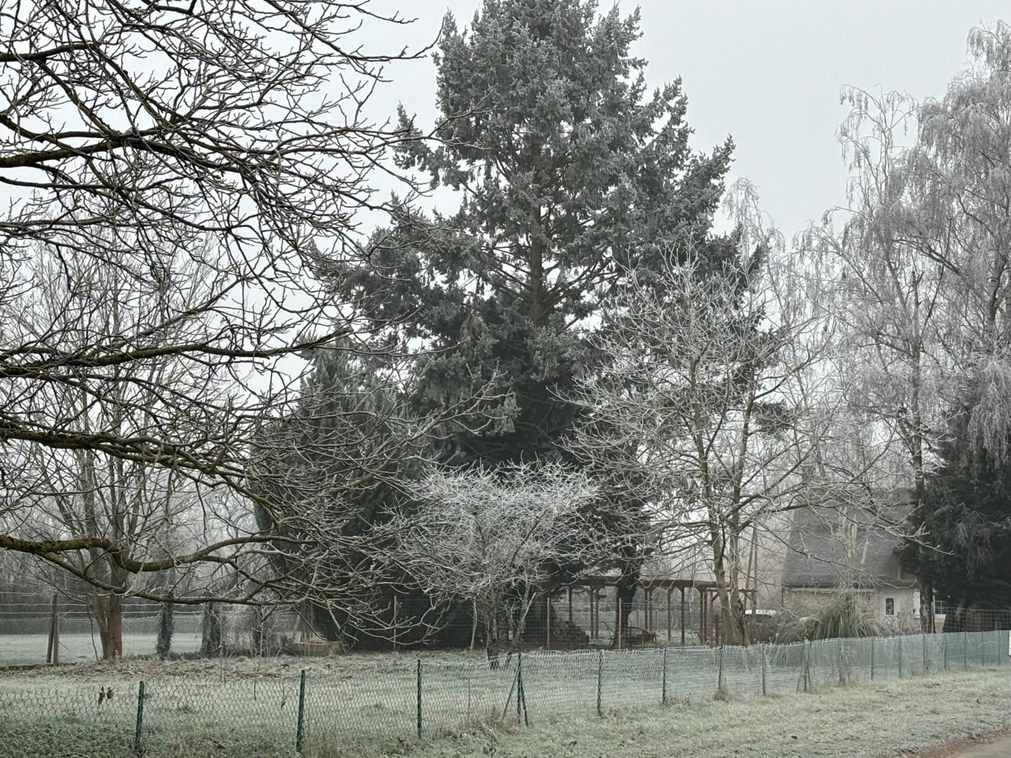 La Haute Tremiere Charenton-du-Cher エクステリア 写真